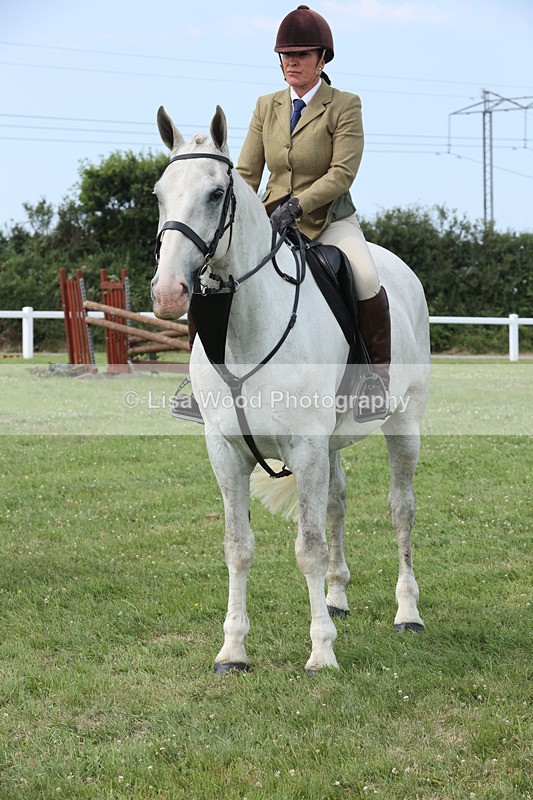 JPP_3950 - Class 23: Working Hunter 80cm