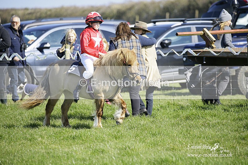PtP 190322 90 - Wilton Hunt PtP Milborne St Andrew 19/03/22