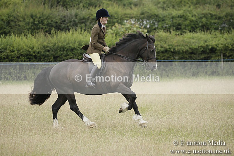 B230619-0096 - Bourne Valley Riding Club Summer Show 23/06/19