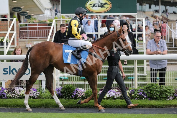 yr11062021r6-13 - Race 6 4.35pm Irish Thoroughbred Marketing Stakes