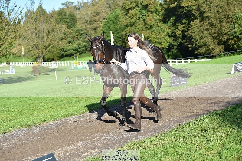 231022-102508-22466 - 435-TIMASSINI-Lana.Bennett-TrotUp+SJ