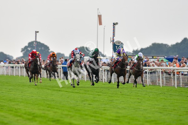 100923-Pony Race 2-Its Fatherted-1680 - Pony Race 2 12.45 The Dragon (TV and Film) Studios Pony Race 148cm & Under