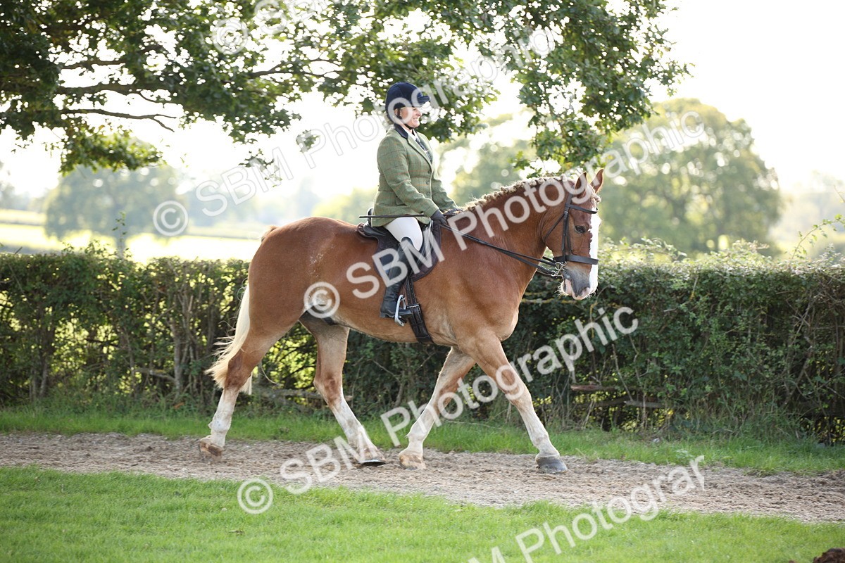 SBM_50115 - S26 - Young Veteran - Ridden