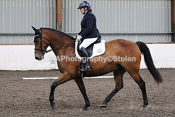 SIAL4881 - CAbin Dressage 5th july 2025