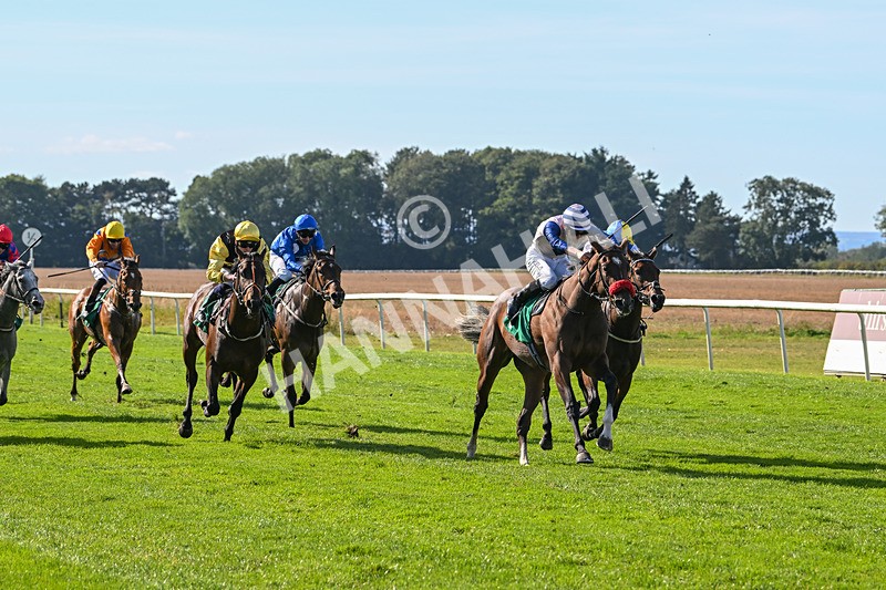 160924-Race 3-Moostar-2740 - Race 3