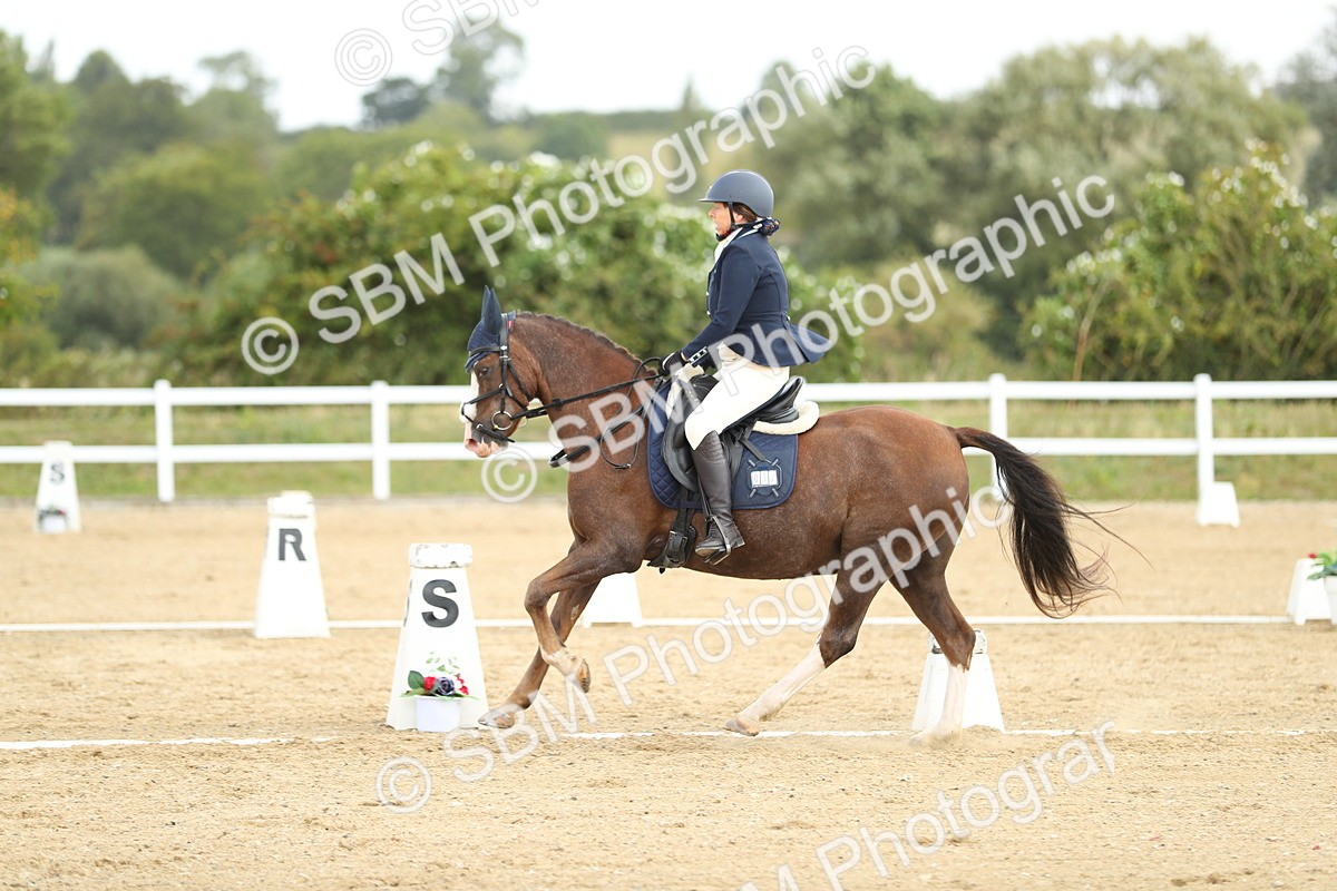 SBM_016300 - Class 13 - Novice 23 - 11.25-12.35