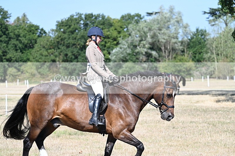 WJ7_3937 - Class 9 Mountain & Moorland Ridden