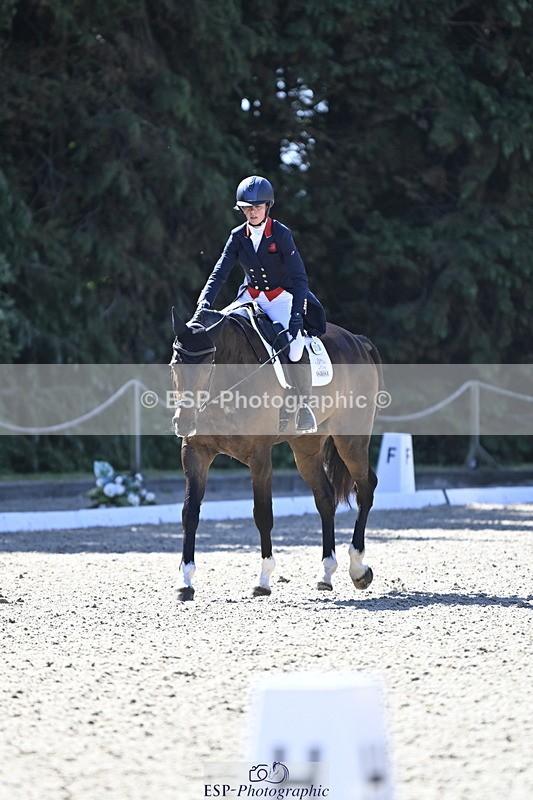 250522A-101532-02660 - B-310-Kitty.King-LISCARROW.FERNHILL