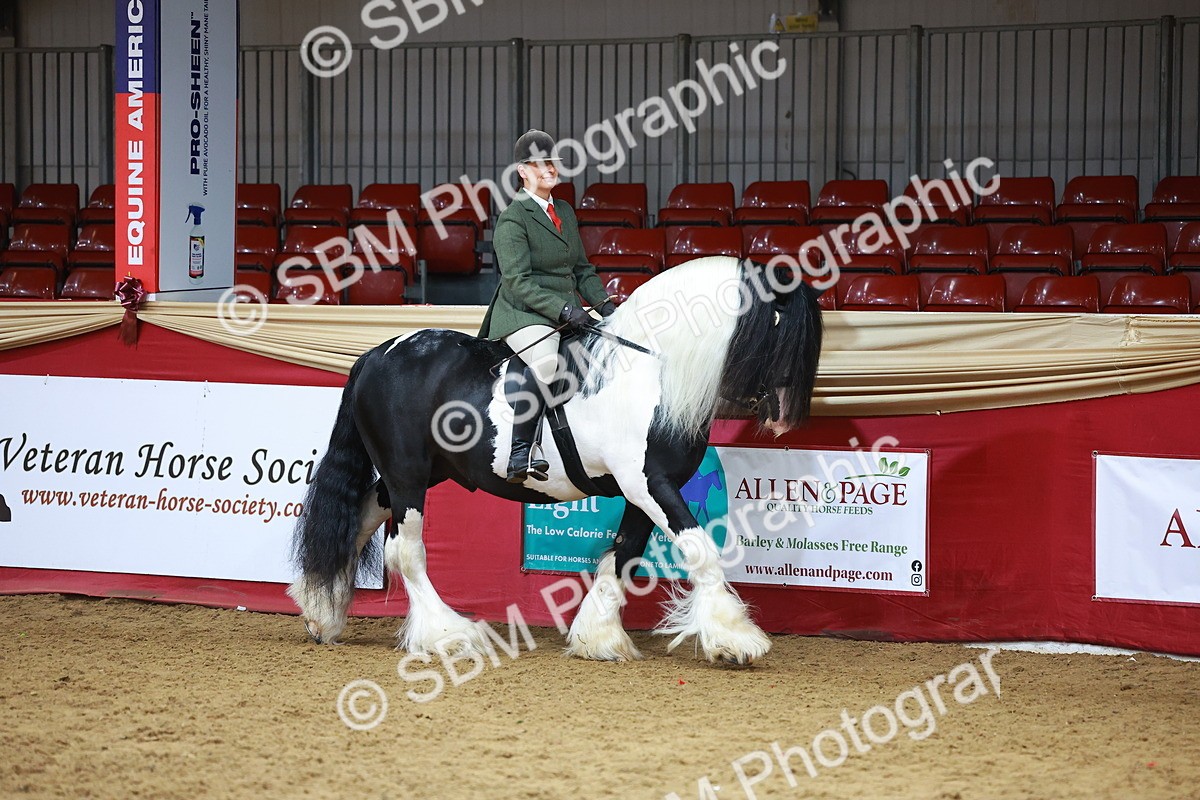 SBM_09342 - Class 102 - HOYS Veteran Qualifier - Ridden Veteran