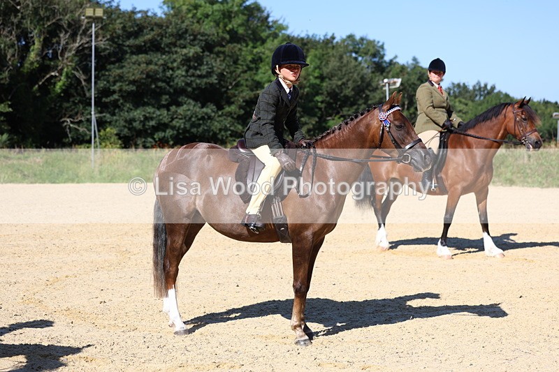 3E7A7899 - Class 14: Tack and Turnout