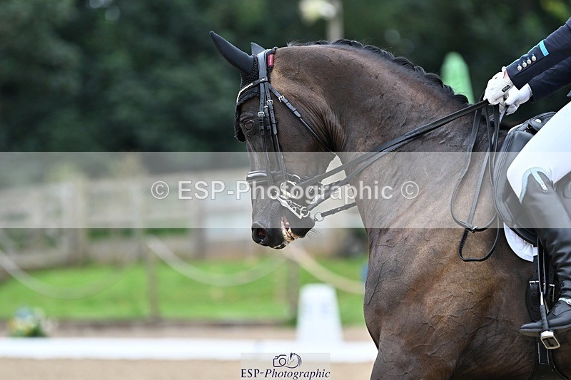 240810-103826-02692 - 242-Jessica.Davies-Nemo.II