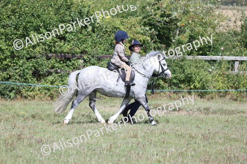 20250831-2632 - Class 17 - Lead Rein Pony