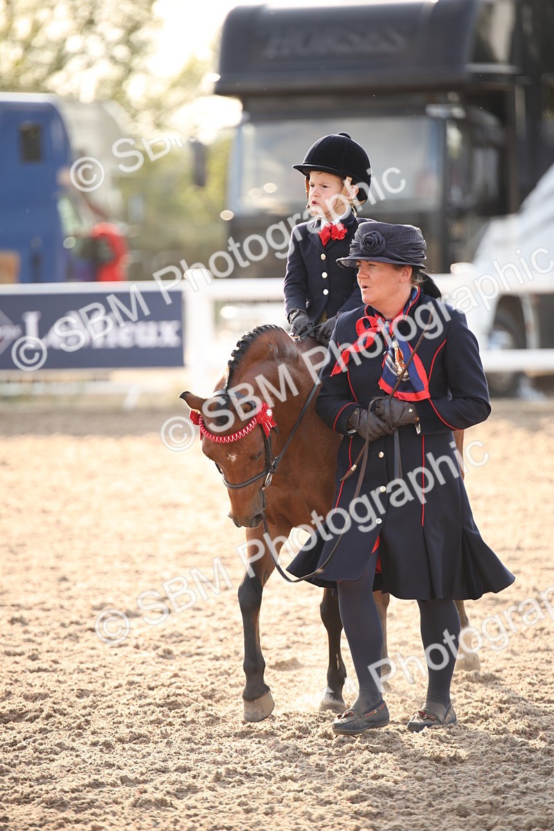 SBM_09187 - Regional Ridden Champ