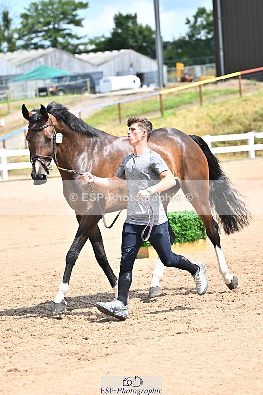 240718A-105303-01487 - Trot Up 12pm to 1pm