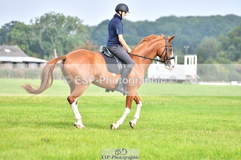 230817-091802-02518 - Abbie's 1st Group - Dressage