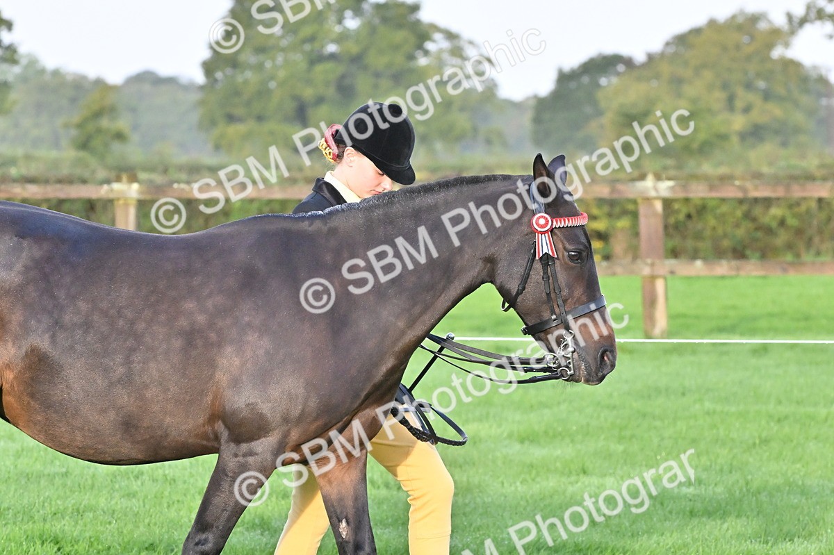 SBM_32557 - S15 - Top Turnout In Hand