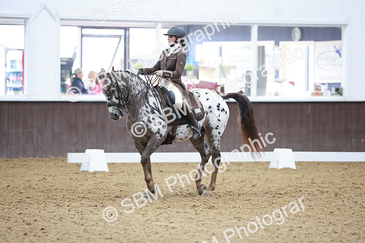 SBM_021364 - Class 14 - FEI Grand Prix - 17.40-18.34