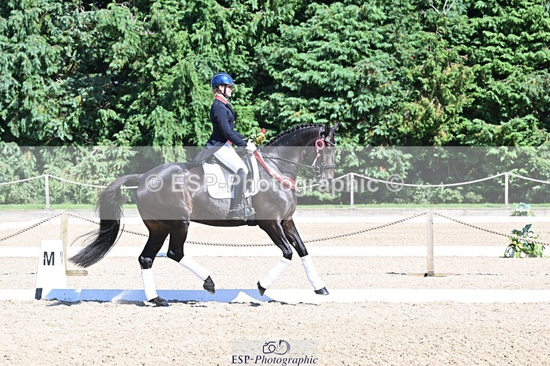 240811-154101-06774 - Inter I Gold