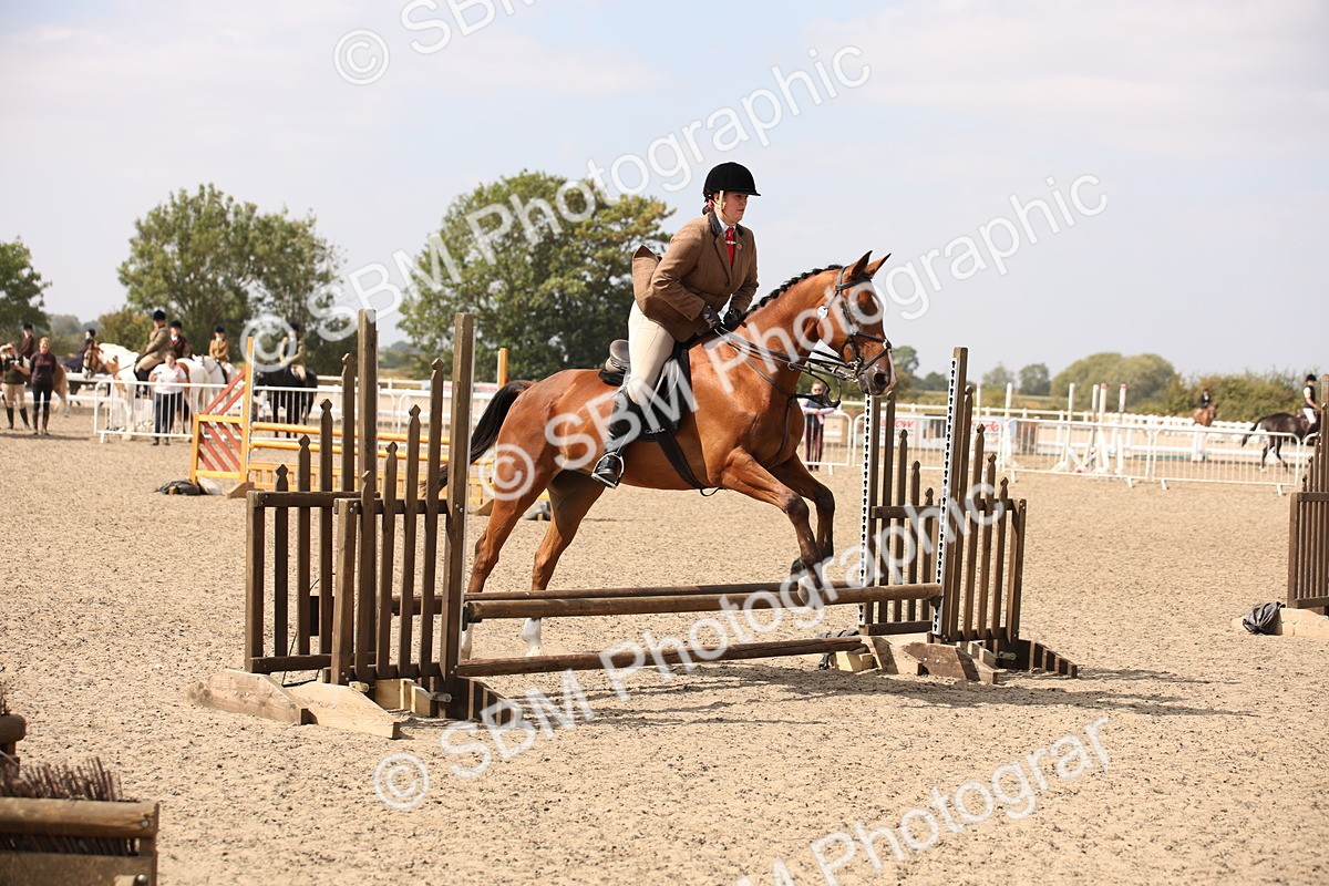 SBM_14276 - Class 407b - Working Veteran 60cm (20+)