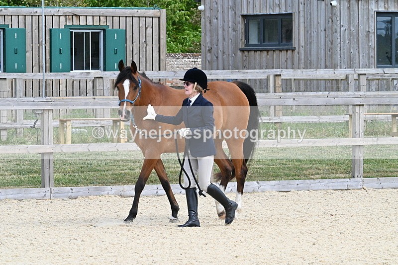 WJ7_7950 - Time 15:39 to 16:08