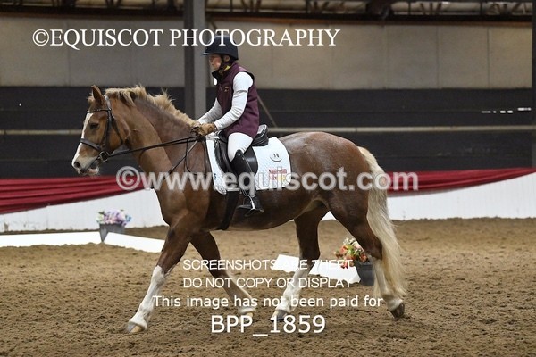 BPP_1859 - INTRO TEST 3