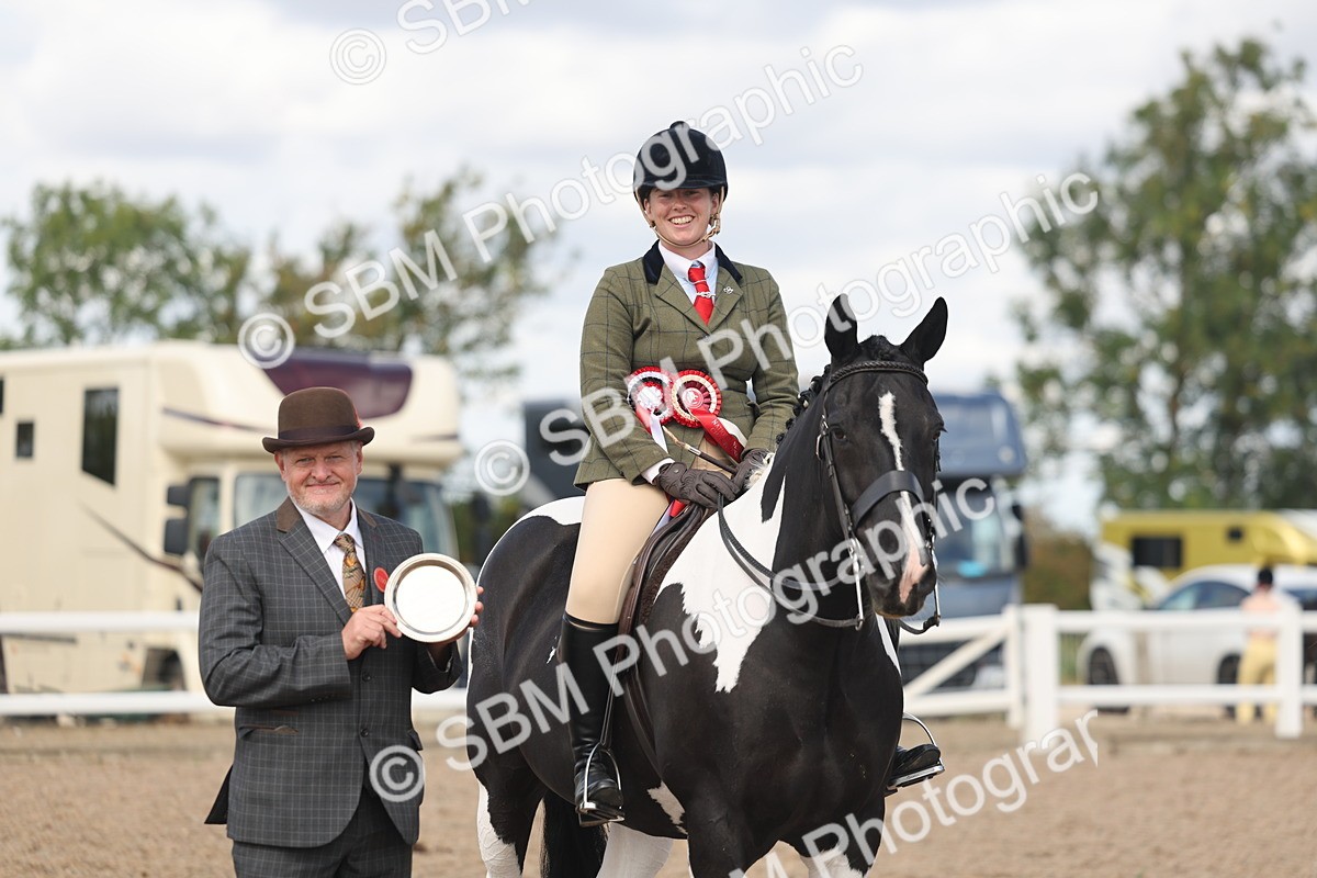 SBM_14837 - Class 308 - Ridden Coloured Horse