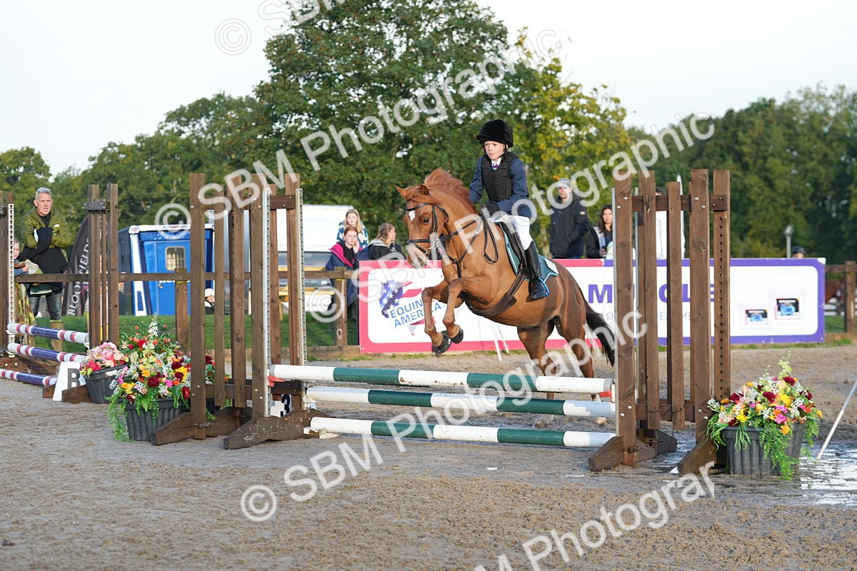 SBM_32129 - J5 - Junior Pony 50cm Championship