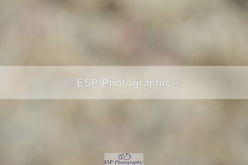 230630A-115529-01731 - Cls 7 Elementary 45