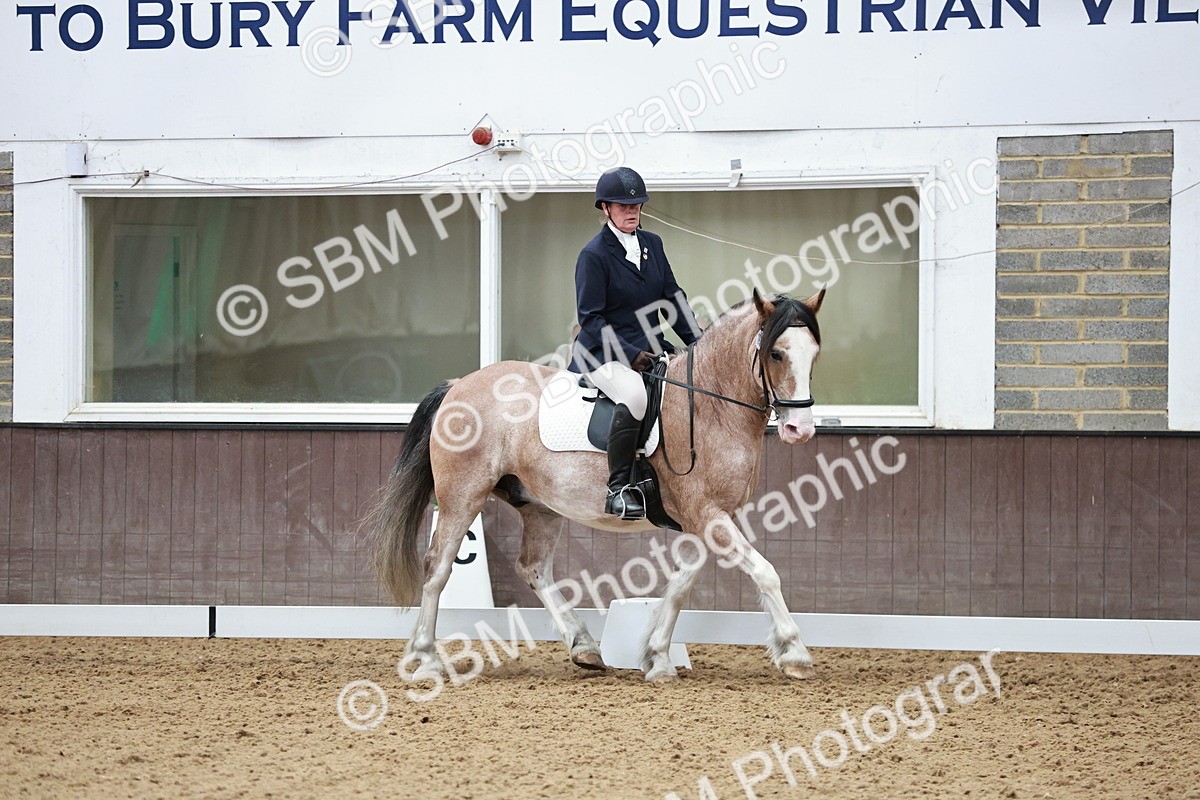 SBM_014226 - Class 7 - Ele FSM Bronze 12.12.13.08