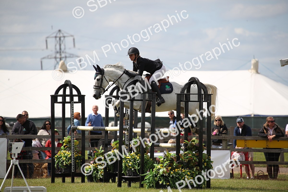 SBM_17510 - Class 208 - Senior Foxhunter 1.20m Open