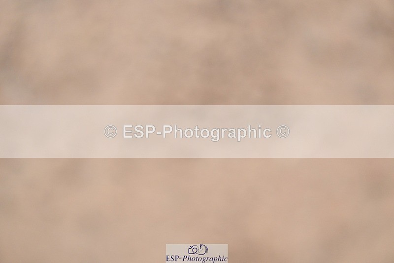 241127-130518-00615 - Cls 04A&B Snr Newc & 1.10m Open