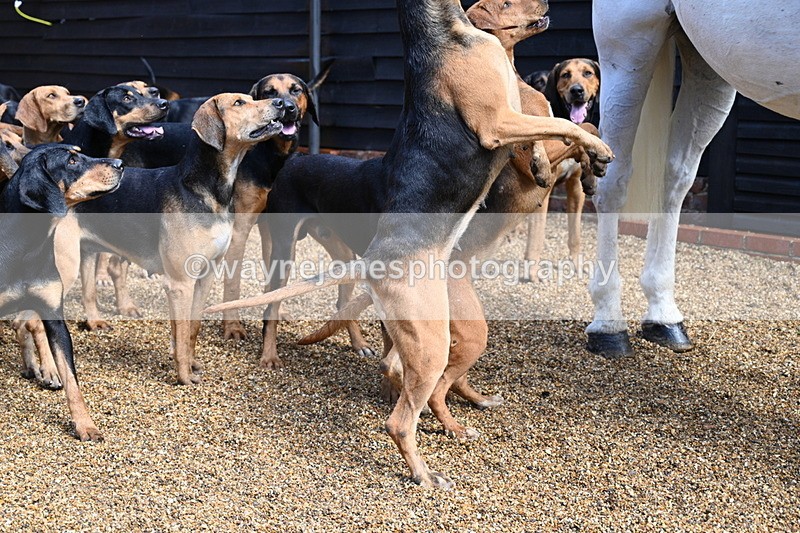 WJ7_7044 - Berks & Bucks at Blandy’s Farm 31-08-25