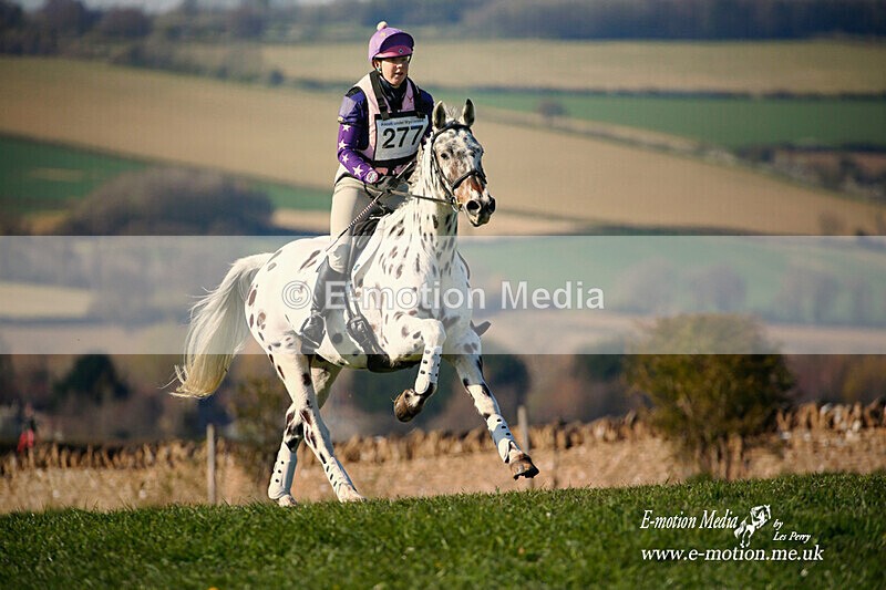 BE 170421 2107a - Equestrian