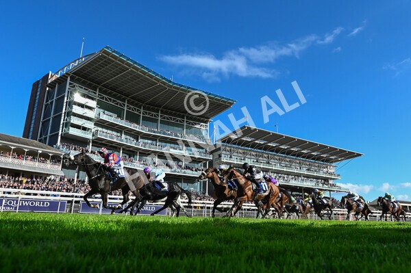 yr08102022r4-24 - Race 4 3.15pm The Coral Sprint Trophy