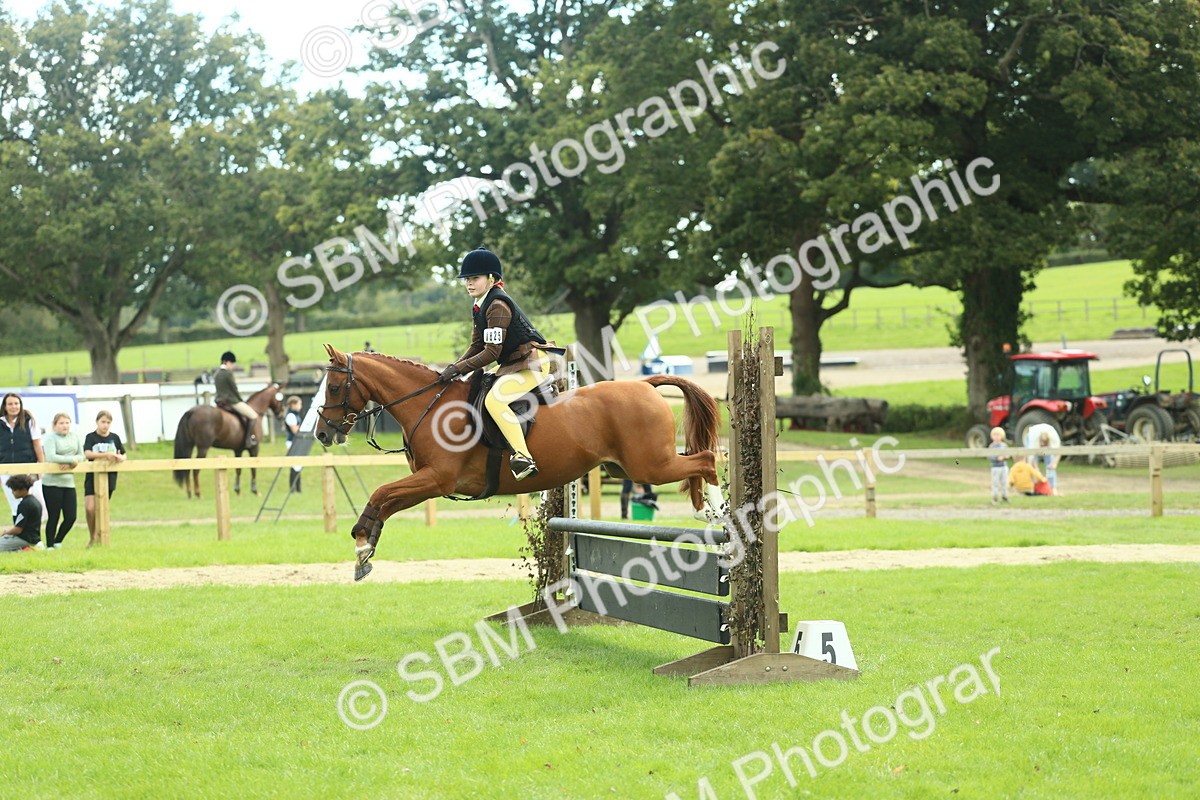 SBM_44641 - S31 - Working Hunter Pony