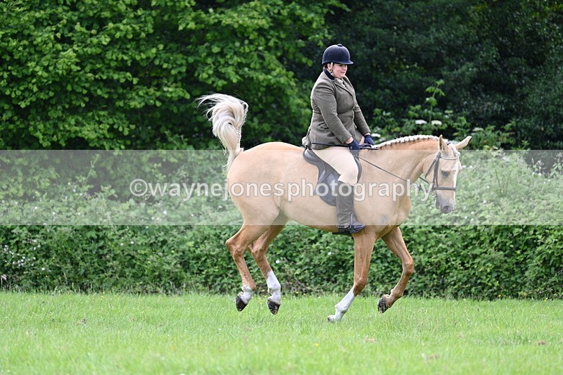 WJ7_2467 - Class 12A Coloured Class