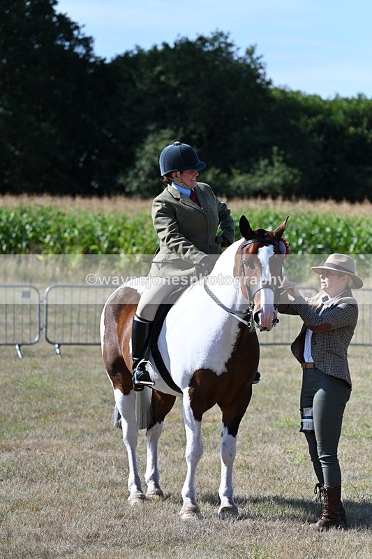 WJ7_3184 - Class 8 Ridden Tack & Turnout