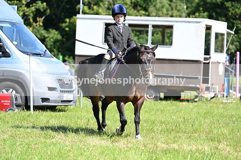 WJ7_0609 - Class 8 First Rally Pony