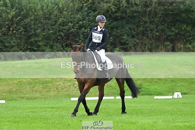 241024-114314-03295 - 509-Tichy.Sanders-SPARHANGER.VELVET