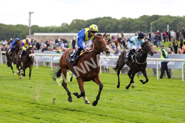 yr12052022r4-46 - Race 4 3.35pm Al Basti Equiworld Dubai Dante Stakes