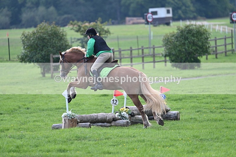 WJ7_3536 - 40cm Time 10:08 to 10:25