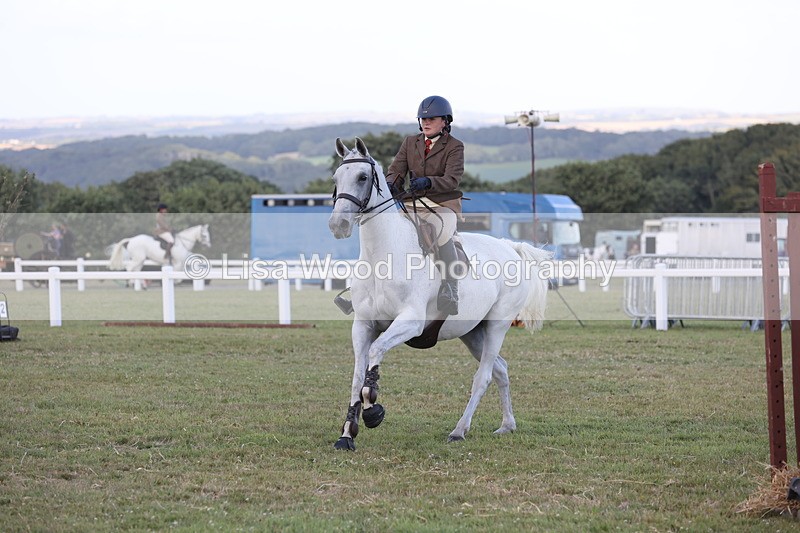 JPP_3632 - Class 24: Open Working Hunter