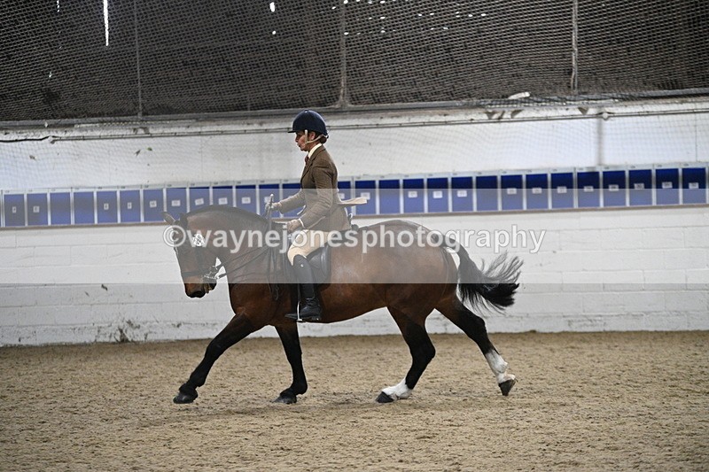 WJ7_4013 - Class 17 Ridden Cob