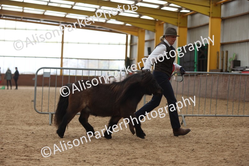 20251109-0438 - Championship