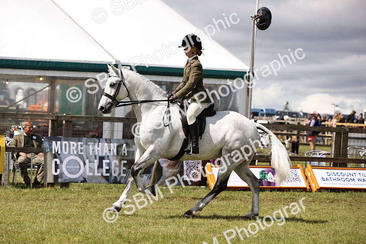 SBM_14544 - Class 88-89 - LIHS BSHA Rising Star of Ridden Hunter Type
