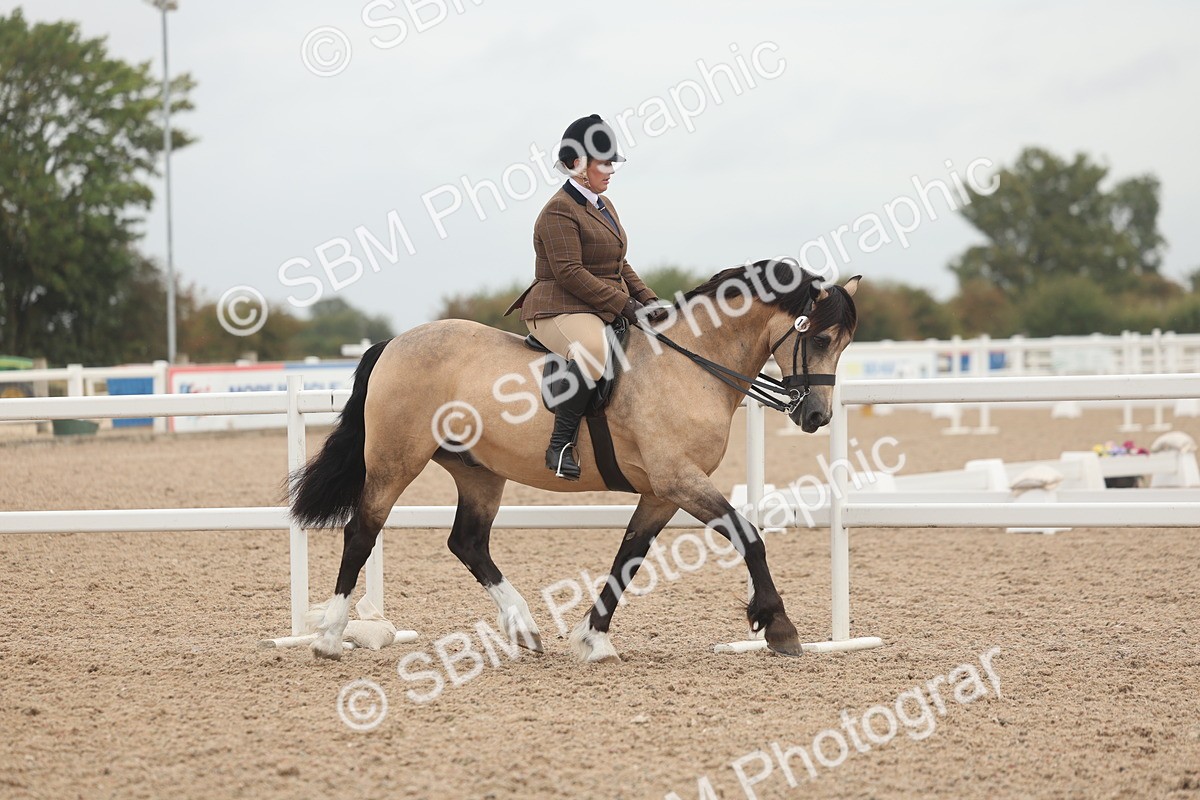 SBM_01868 - Class 14 - Ridden M&M Wildcard