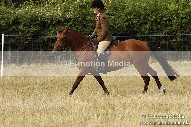 _BS_0540 - BVRC Show 2018 Ring 3