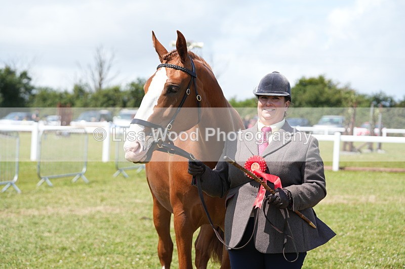 DSC06297 - Class 54: Hunter/Riding Horse/Hack 1 & 2 yr olds