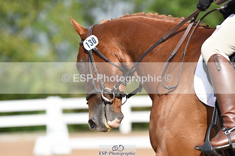 230912A-104052-00401 - Cls 5 Novice 39