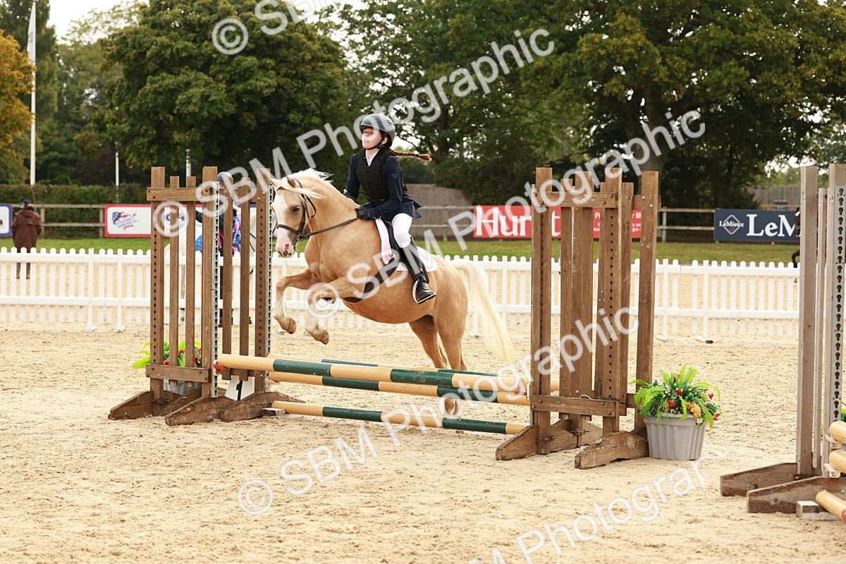 SBM_57801 - J11 - Junior Pony 50cm Championship